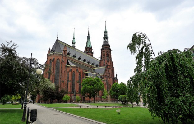 Centralnym miejscem diecezji stała się legnicka katedra, której patronują święci apostołowie Piotr i Paweł