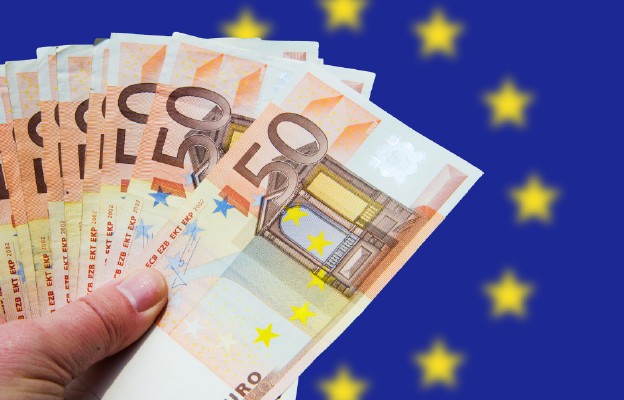 Czy Polacy chcą euro?