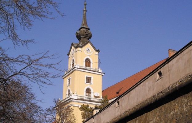 Zamek rzeszowski