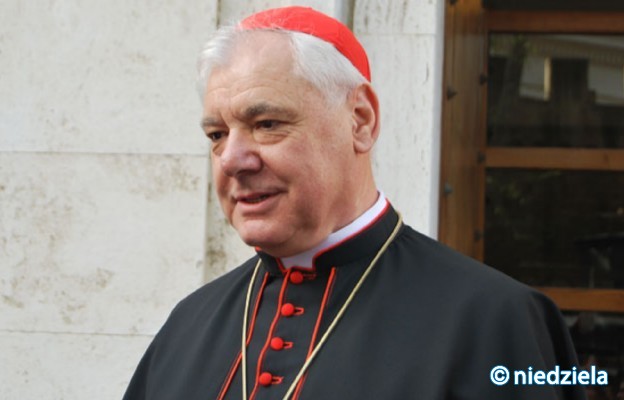 Kardynał Gerhard Ludwig Müller