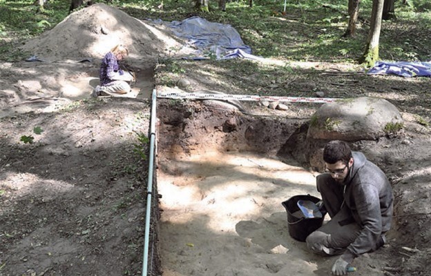 Badanie kurhanu na terenie Puszczy Białowieskiej przez Instytut Archeologii UKSW