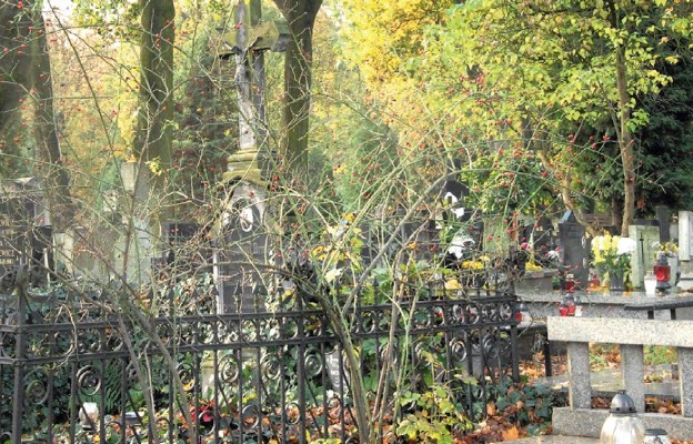 Stary Cmentarz w Łodzi