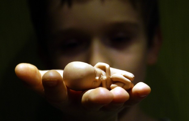 COMECE przestrzega Parlament Europejski przed zrównaniem embrionów i płodów z komórkami ciała