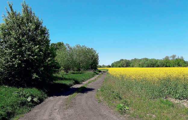 Gleba bez ziarna, jak i ziarno bez gleby nie wyda owocu, stąd B óg potrzebuje naszej współpracy, byśmy wydali owoc dla królestwa Bożego