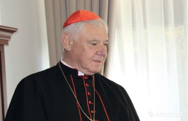 Kard. Müller broni arcybiskupa Kolonii