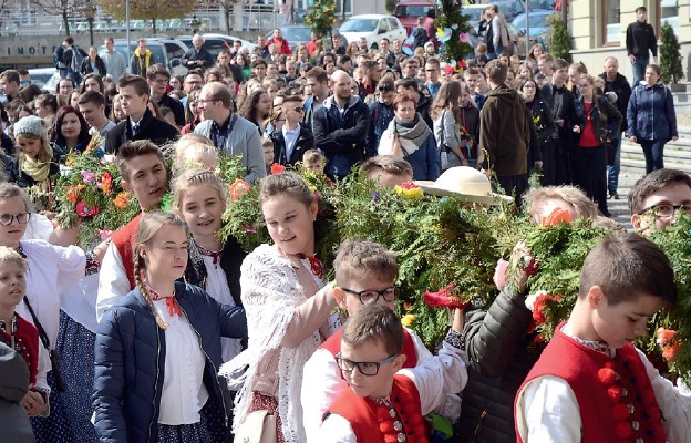 Palma z Jaworzynki liczyła prawie 10 m