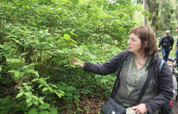 Spotkania poprowadzi Małgorzata Piszczek, botanik i architekt krajobrazu