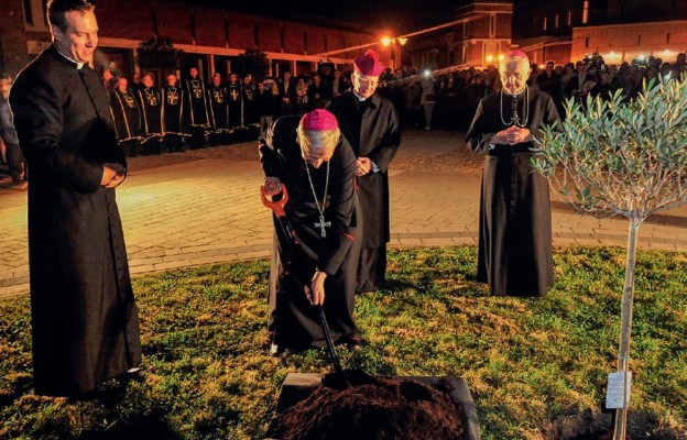 Po Mszy św. odpustowej abp Marek Jędraszewski wspólnie z bp. Janem Szkodniem, bp. Janem Zającem i ks. Mateuszem Hosają posadzili drzewko oliwne