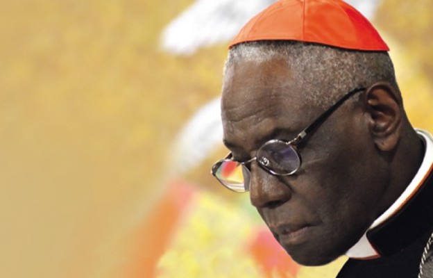 Kenia: kard. Sarah chwali biskupów afrykańskich za odrzucenie Fiducia supplicans
