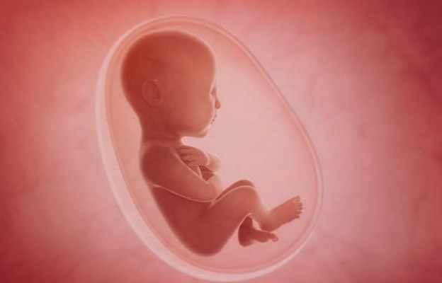 Aborcja Eugeniczna narusza godność człowieka oraz prawo do życia