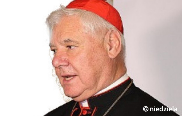 Watykan: kard. Müller popiera wniosek kard. Pella o napomnienie biskupów niemieckich