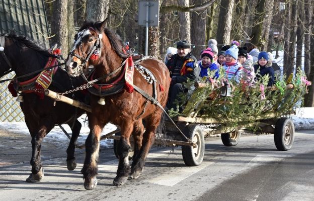 Podróż powozem uczestników zimowiska w Rabce Zdrój