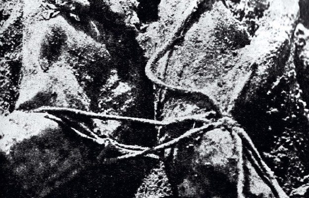 Węzeł katyński – ręce związane na plecach ofiary