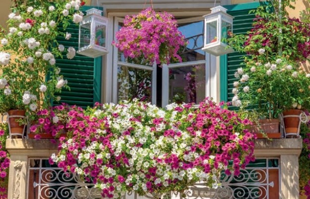 Balkon w kwiatach