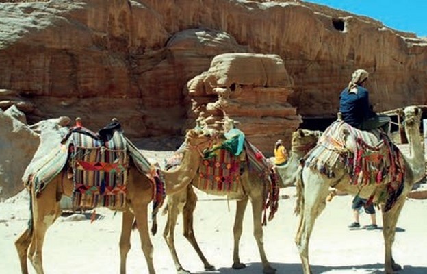 Jeden ze środków transportu w Petrze – beduińskie ferrari
