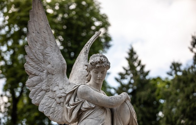 Aniołowie pomagają Ukraińcom