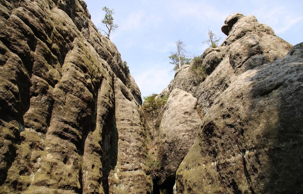 Góry Stołowe  Zbudowane są ze spękanych, ułożonych piętrowo warstw piaskowca