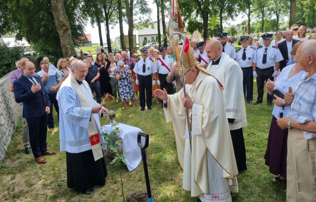 Zasadzono „Dąb Stanisław” ku czci śp. abp. Stanisława Nowaka