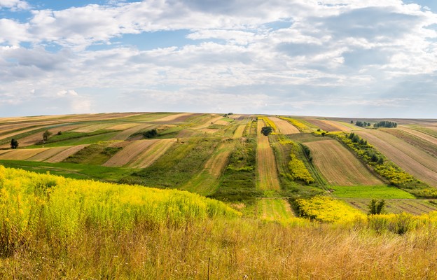 Ziemia karmi i zapewnia nam bezpieczeństwo