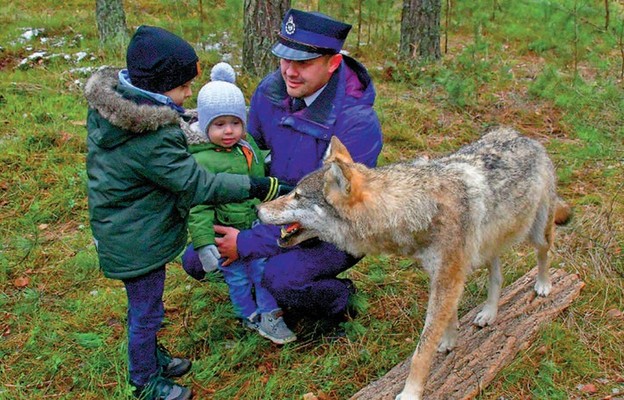 Na cześć pogromcy wilków