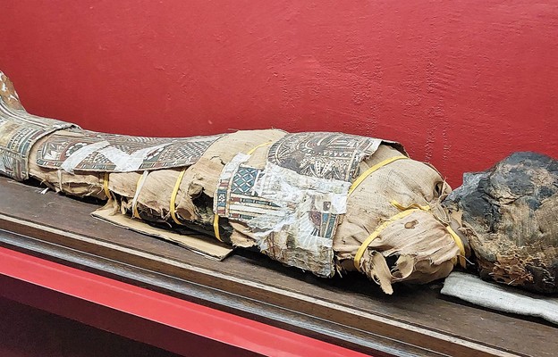 W komorze grobowej są prezentowane sarkofag i mumia dziecka