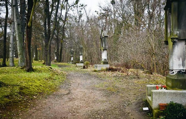 Wybierzmy się na kalwarie