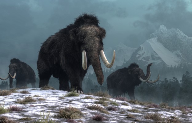 Na tropie mamutów