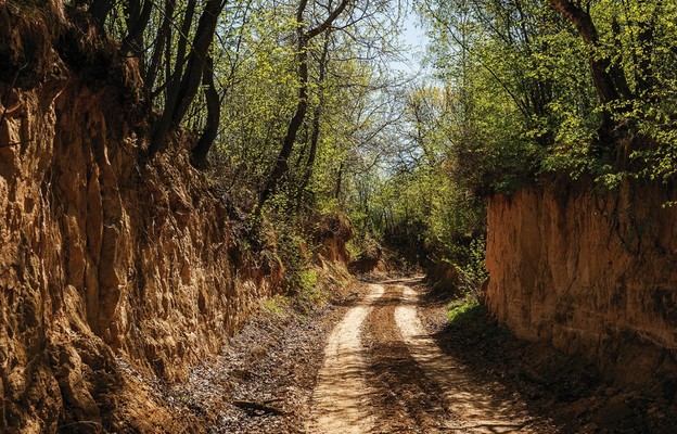 Velo Dunajec