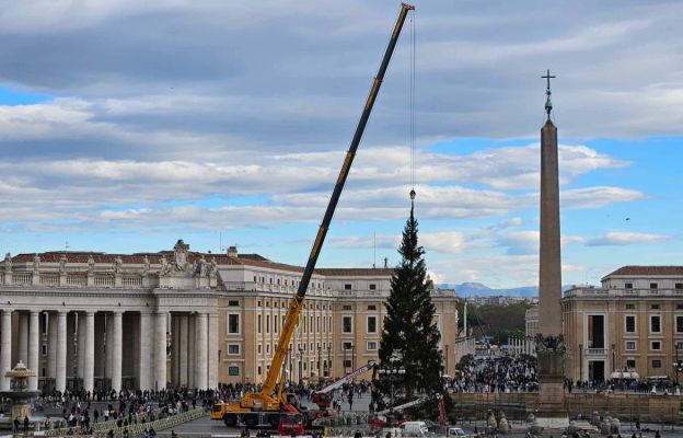 Watykan: Na plac Świętego Piotra przywieziono choinkę z Piemontu