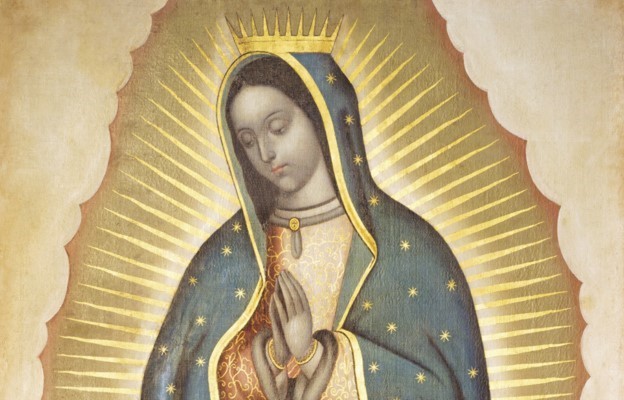 Pod płaszczem Maryi z Guadalupe