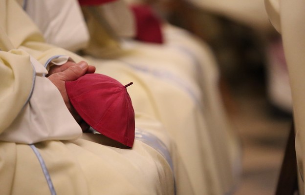 Siedmiu biskupów pielgrzymuje w intencji powołań