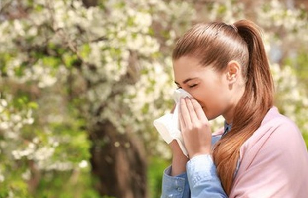 Jak przygotować się do sezonu alergii?