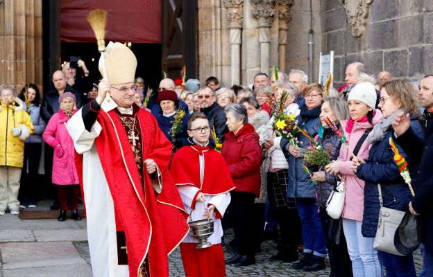 Biskup poświęcił przyniesione przez wiernych gałązki palmowe